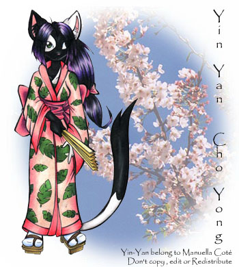 Yin-yan and sakura tree