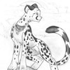 Real Cheetah: Évadée
