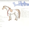 Lite's New Design/Reference