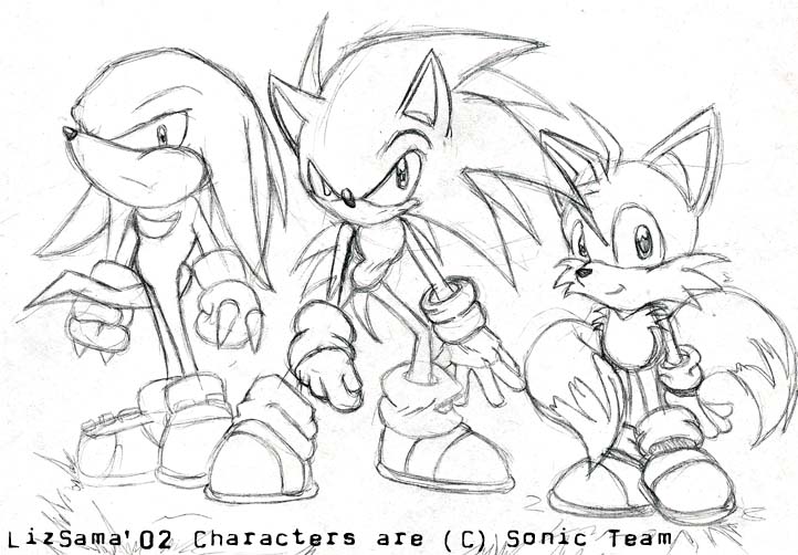 Sonic, Tails, and Knuckles Picture