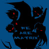 We Are The Matrix