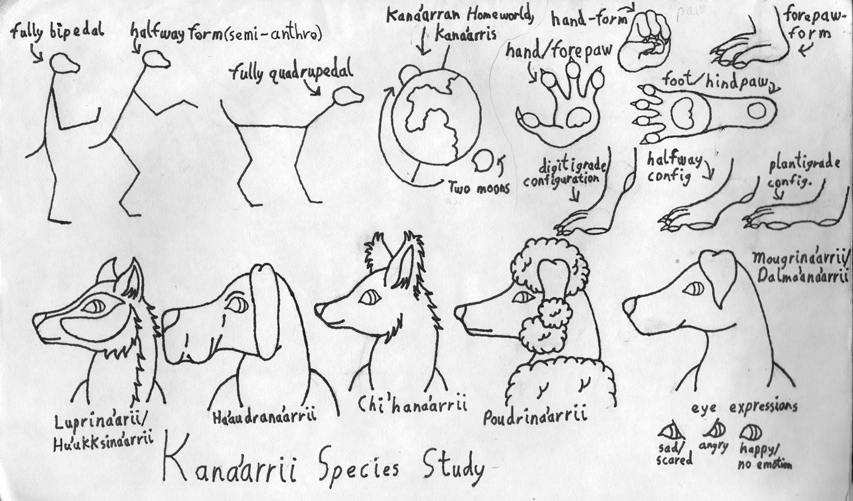 Kana'arrii Species Study