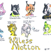 Ndless Motion Faces