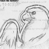 eagle sketch