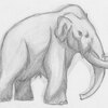 mammoth sketch