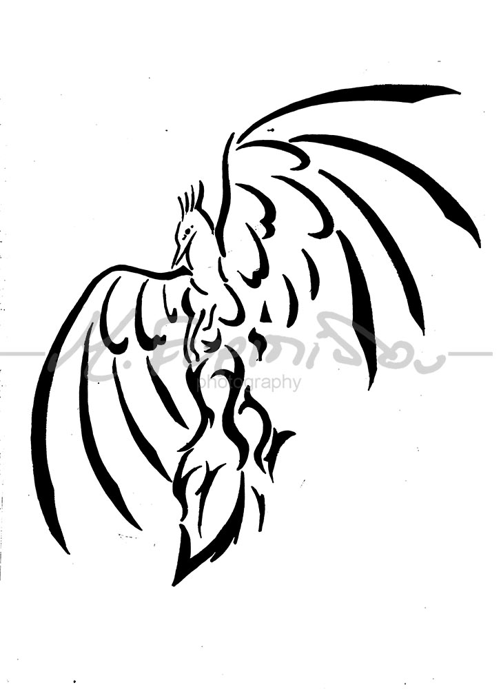 phoenix stylized