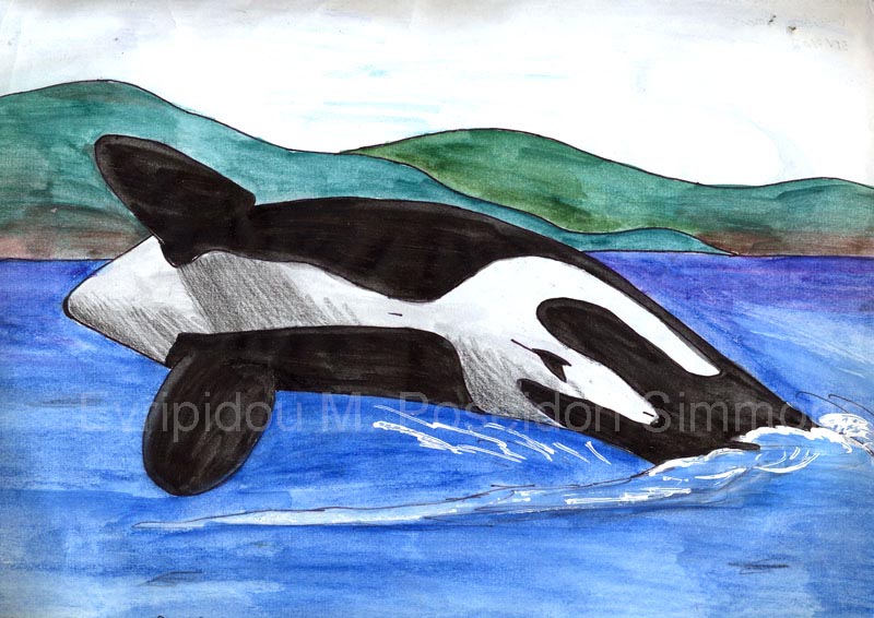 orca breahing