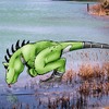 dragon isle project-Blackhoof