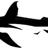 shark stylized