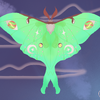 Astronomy Moth