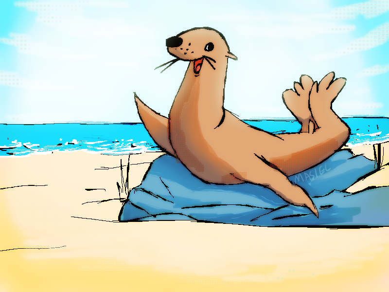hi sea lion