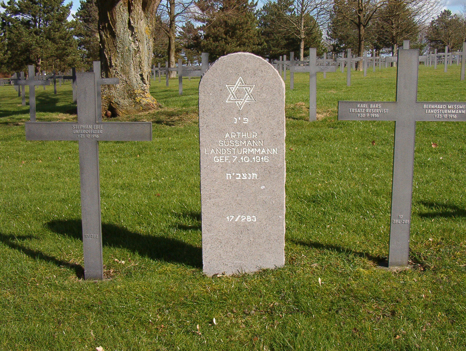 German graves, Neuville-St Vaast