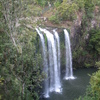 Whangarei Falls Northeast