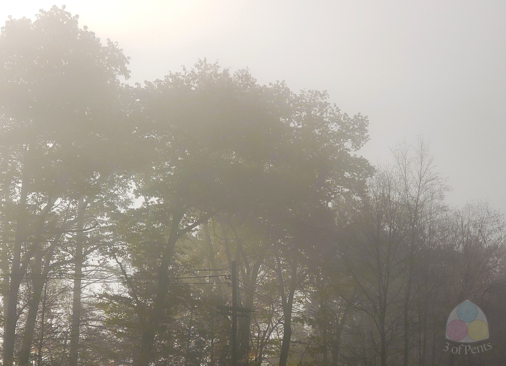 Photography // Fog