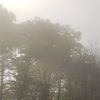 Photography // Fog