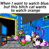 When I want to watch blue, but this bitch cat wants to watch orange