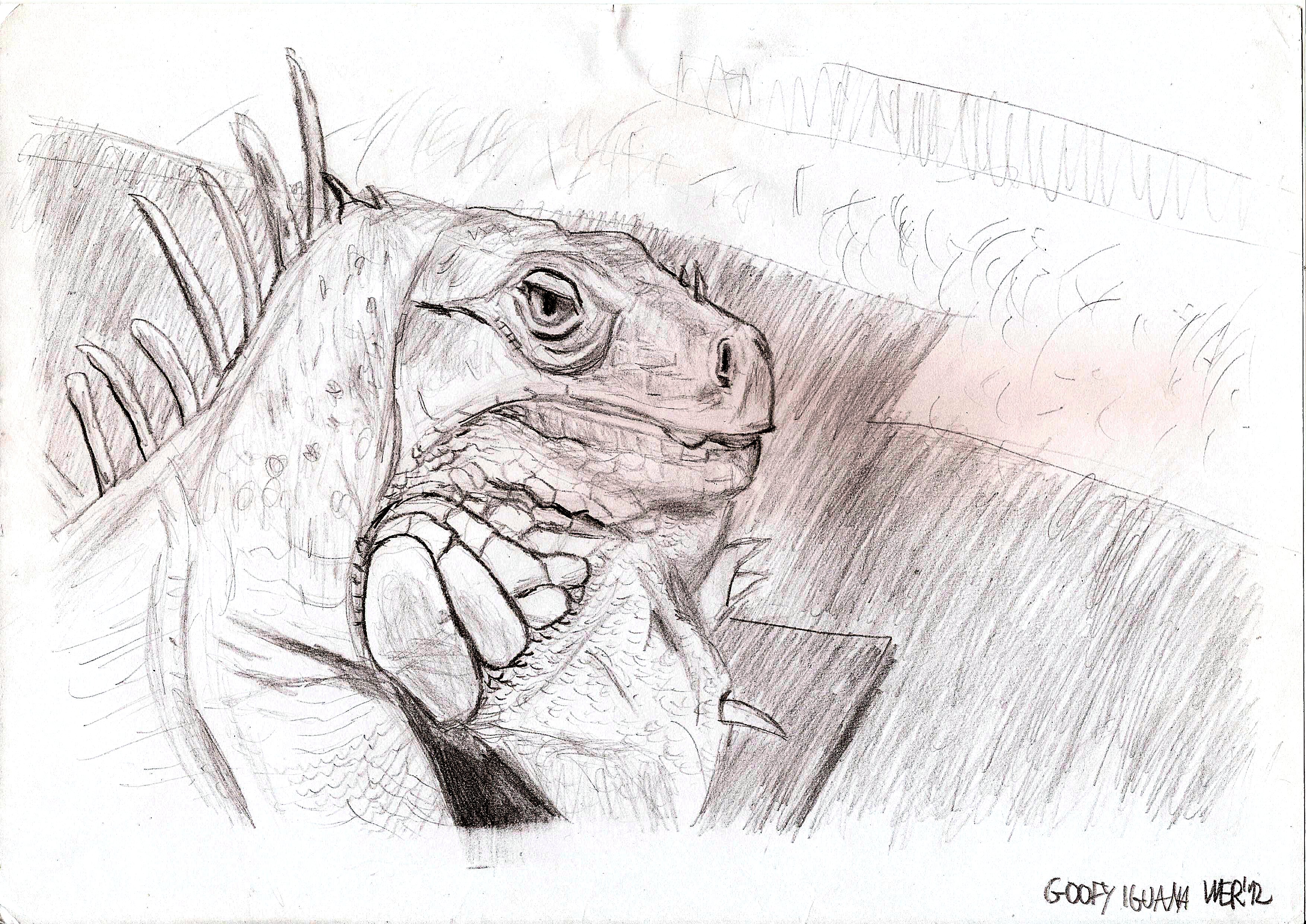Goofy, the Iguana