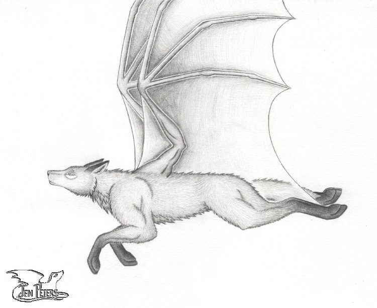 Flying Fox Fin