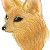 Fennecs Fox