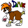 Dane as a puppy