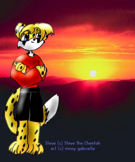 Steve The Cheetah