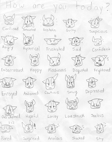 Kitty emotion paper