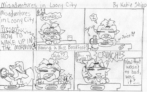 Misadventures in Loony City 4