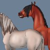 Horse Characters(colored)..