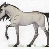 Un-named stallion