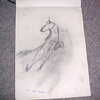 Horse Rearing(charcoal)