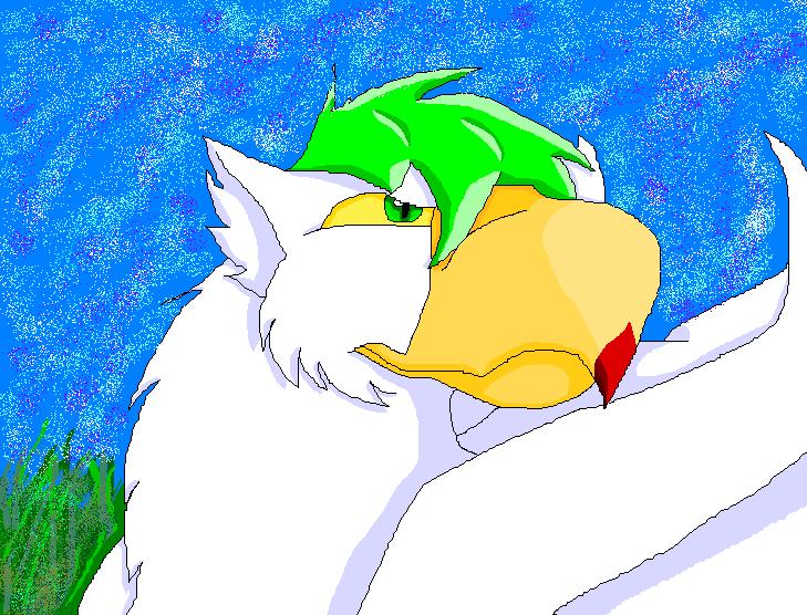 White Gryphon in Summer